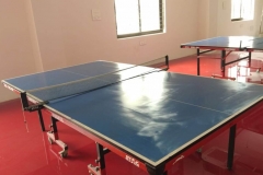 sac table tennis area